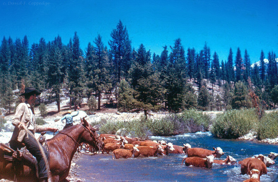 little kern river